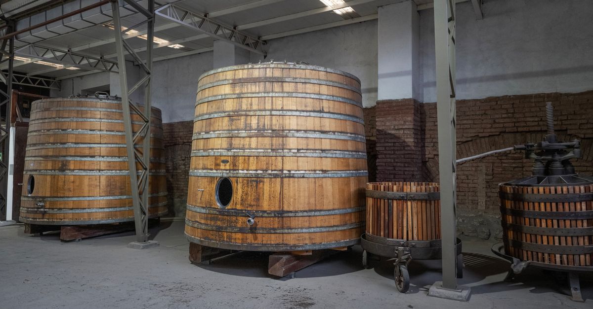 The Best Cider Making Equipment UK (2026)