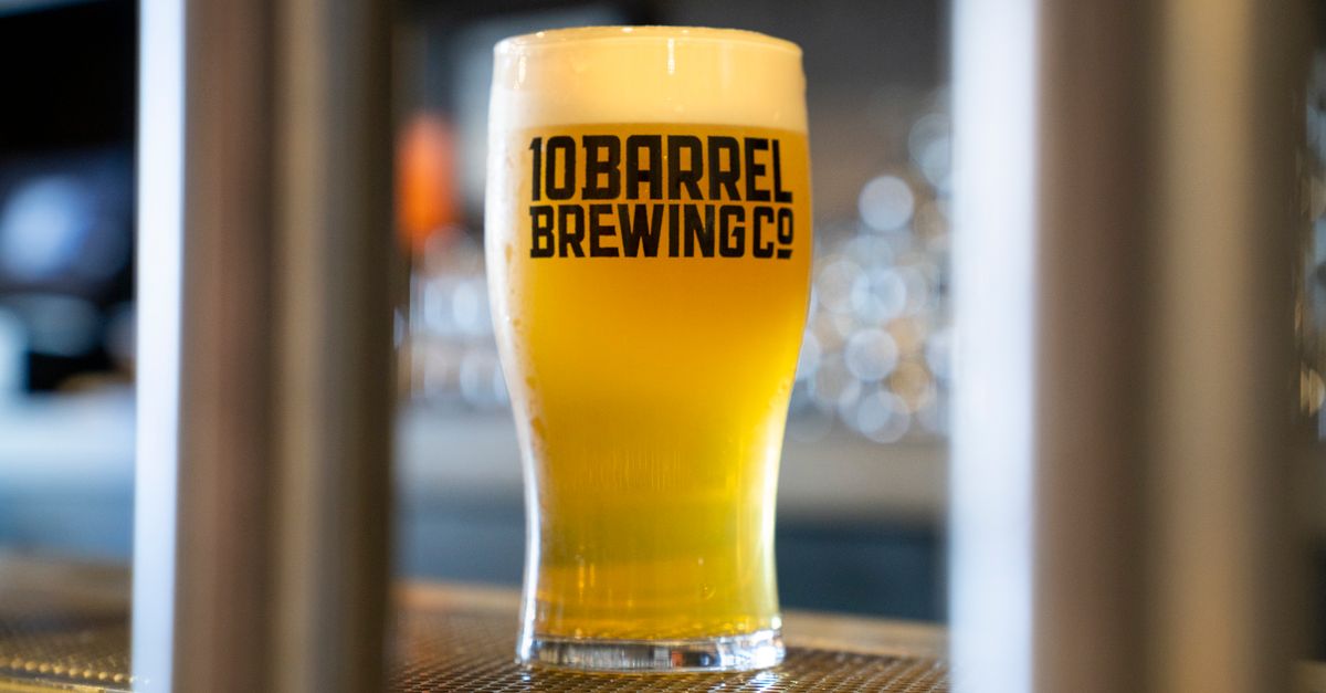 Best Home Brew Lager Kits UK 2026: A Beginner-Friendly Buying Guide