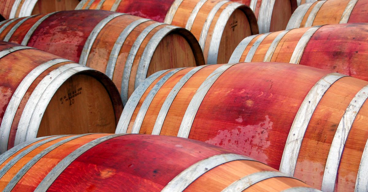The Best Wine Making Kits in the UK (2026): A Complete Buyer's Guide