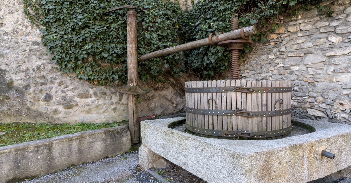 Cider Apple Pressing Guide UK: From Tree to Fermenter