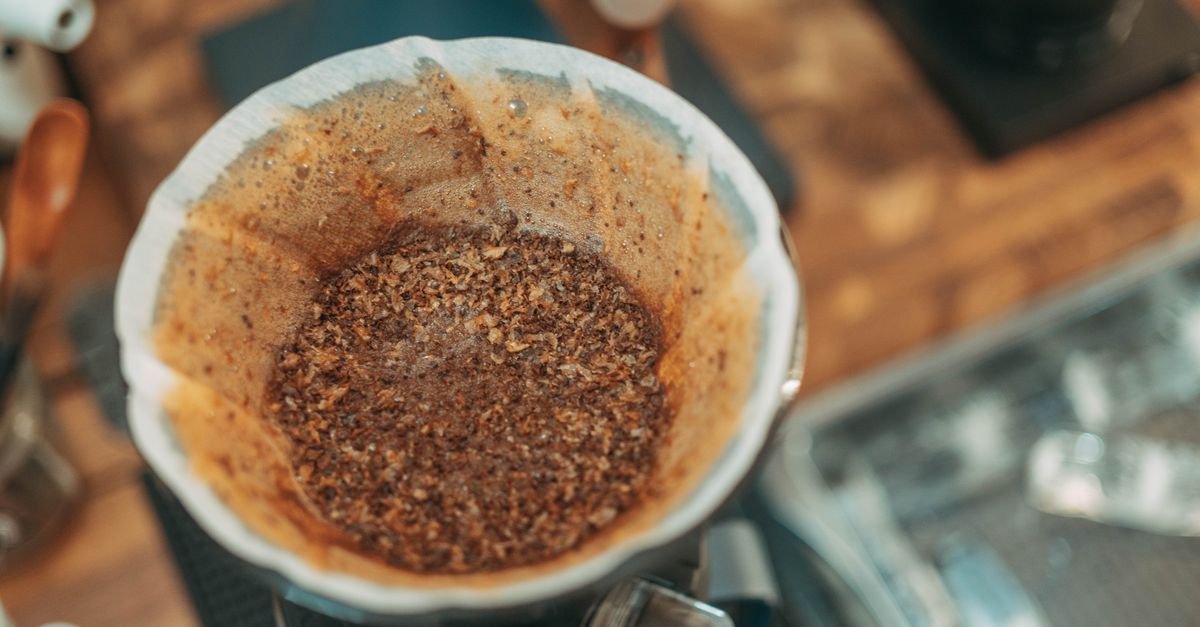 The Best Grain Mill for Home Brewing in 2026: A Complete Grain Crush Guide
